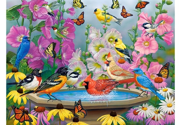 Rhythm of Nature