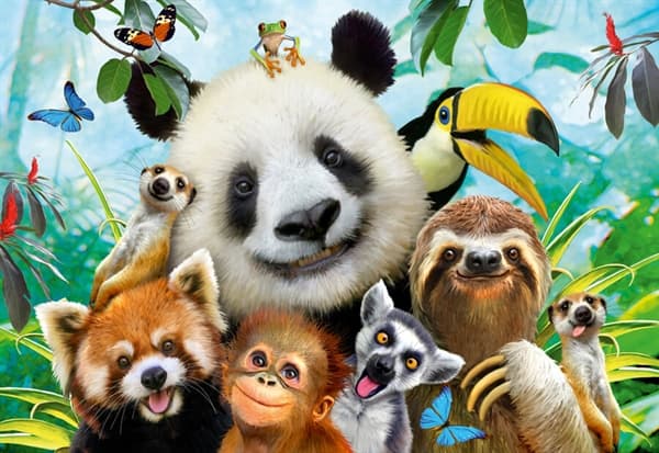 Animal Fun
