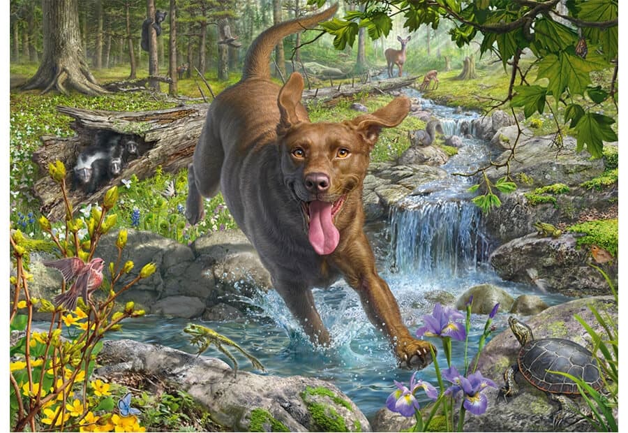 Springtime Cavorting with a Labrador Retriever