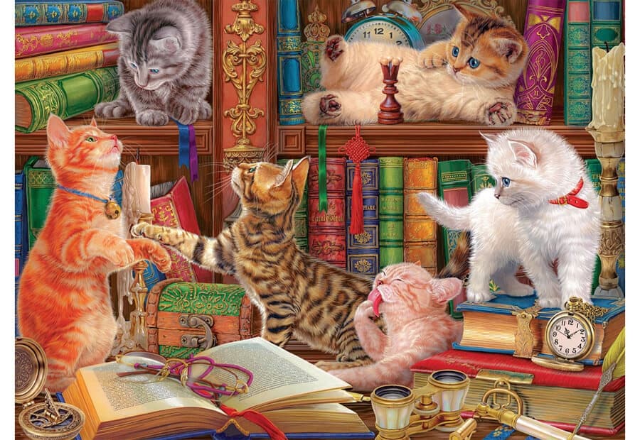 Library Kittens