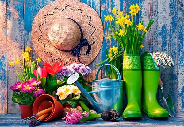 Ready for the Garden