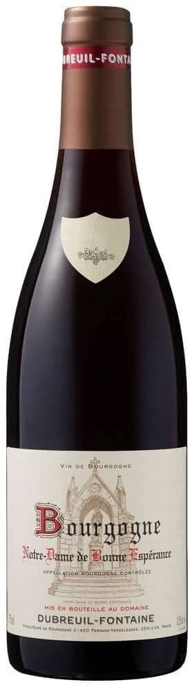 Bourgogne Rouge Pinot Noir "Notre Dame de Bonne Espérance", Domaine Dubreuil-Fontaine 2024