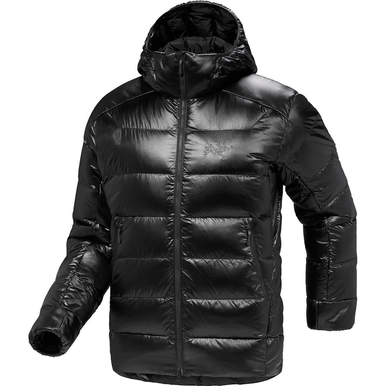 Arcteryx Mens Cerium SV Hoody (Sort (BLACK) Small)