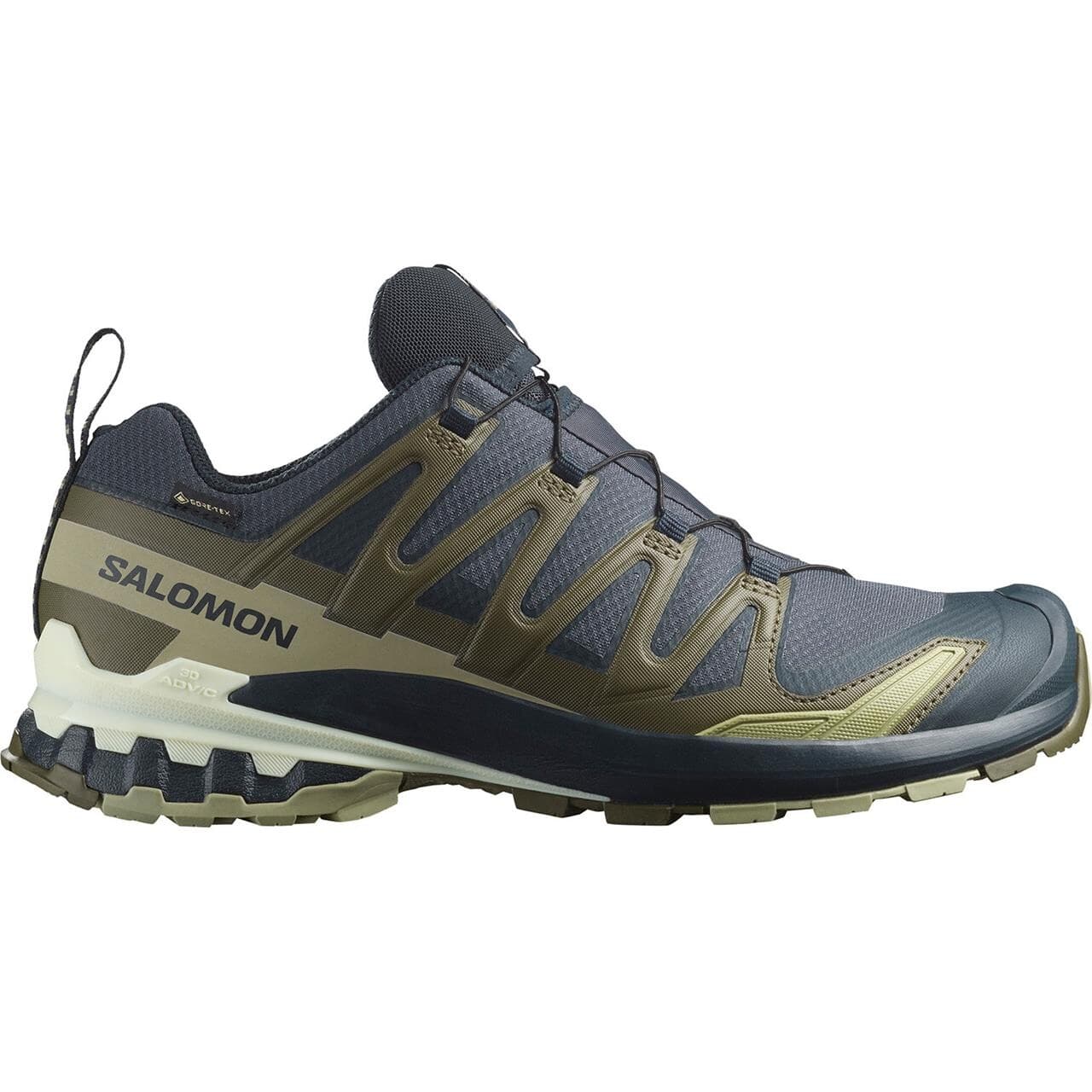Salomon Mens XA Pro 3D V9 GTX (Grøn (INDIA INK/OLIVE NIGHT/ALOE W) 47 1/3)
