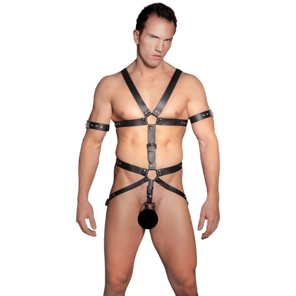 Herren Harness-L-XL