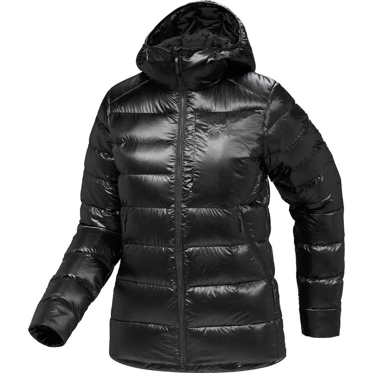 Arcteryx Womens Cerium SV Hoody (Sort (BLACK) Large)