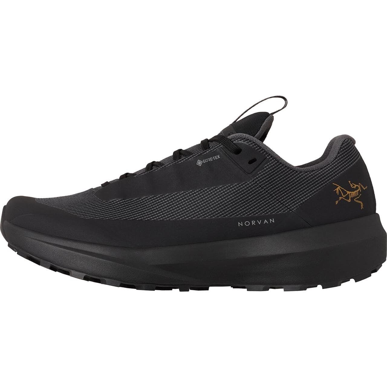 Arcteryx Womens Norvan LD 4 GTX (Sort (BLACK/BLACK) 40)