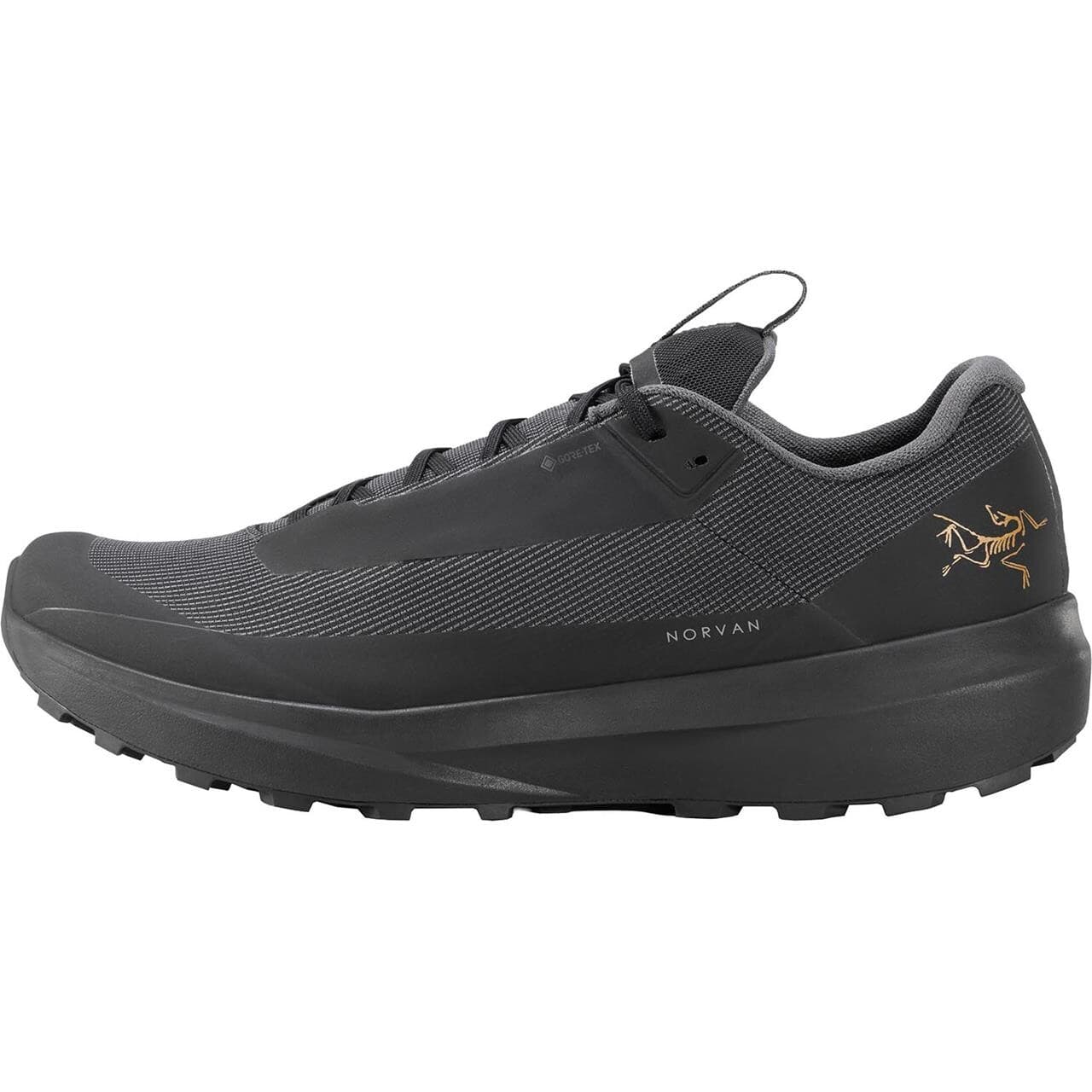 Arcteryx Mens Norvan LD 4 GTX (Sort (BLACK/BLACK) 43 1/3)