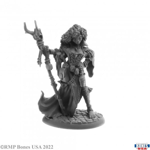 Reaper Bones USA Reaper Legends: Andowyn Thrushmoor, Human Druid - Plastic Miniature