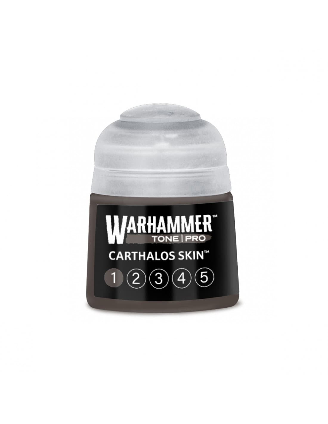 Carthalos Skin 1 - Tone Pro - Warhammer Paint - Games Workshop