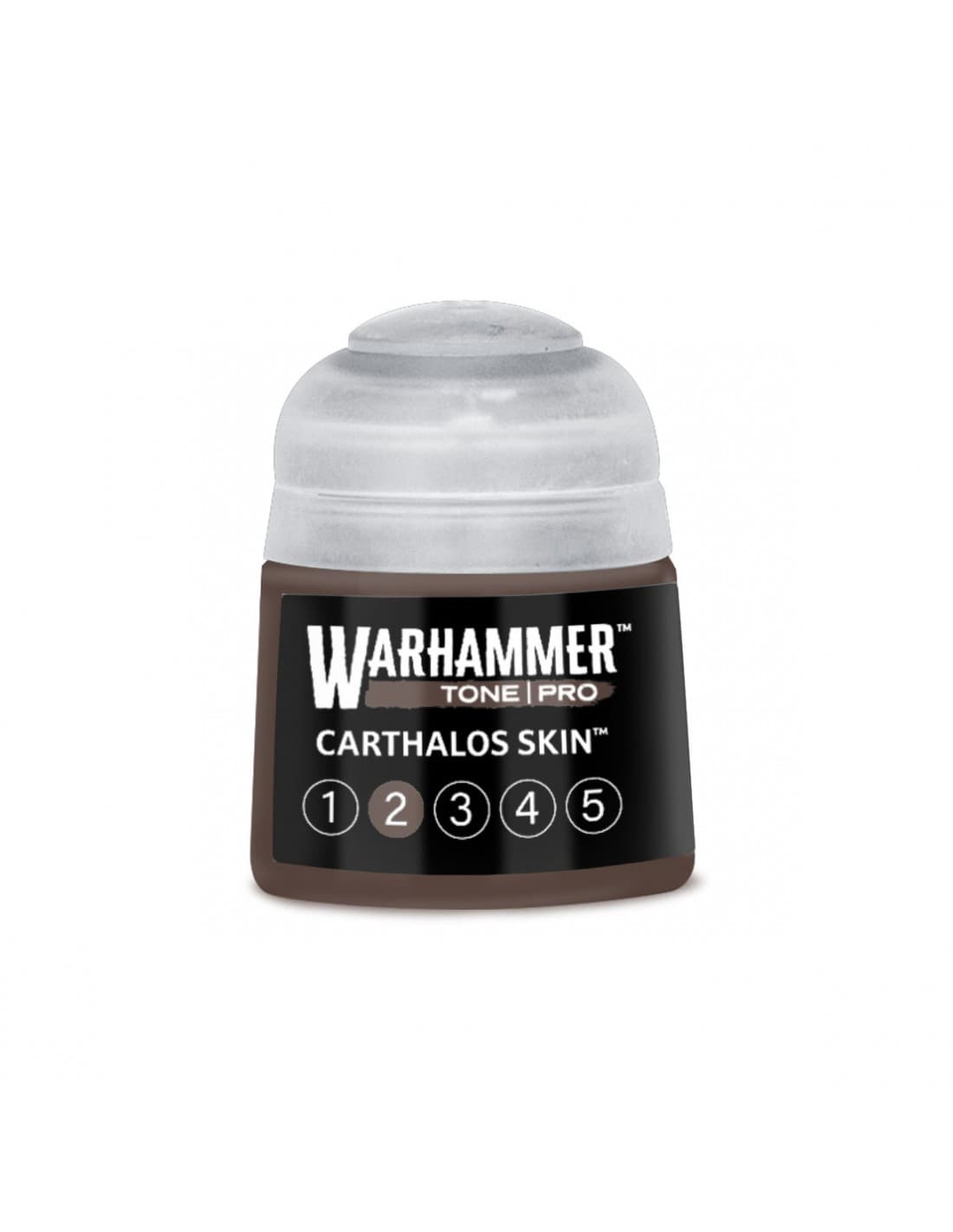 Carthalos Skin 2 - Tone Pro - Warhammer Paint - Games Workshop