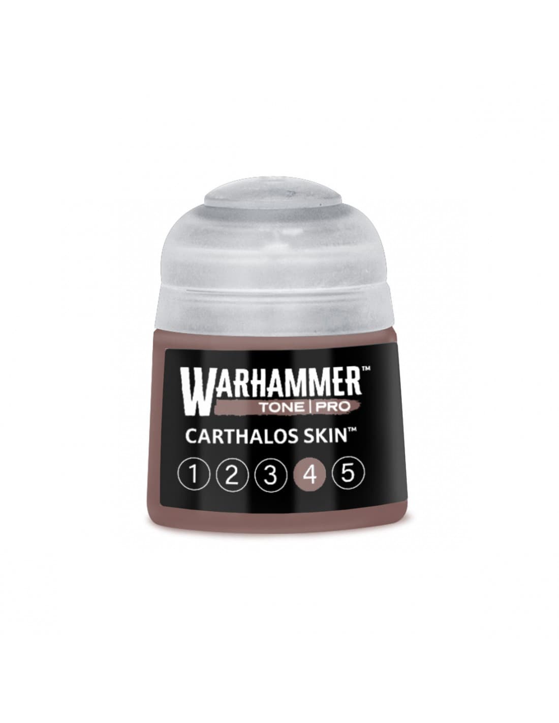 Carthalos Skin 4 - Tone Pro - Warhammer Paint - Games Workshop