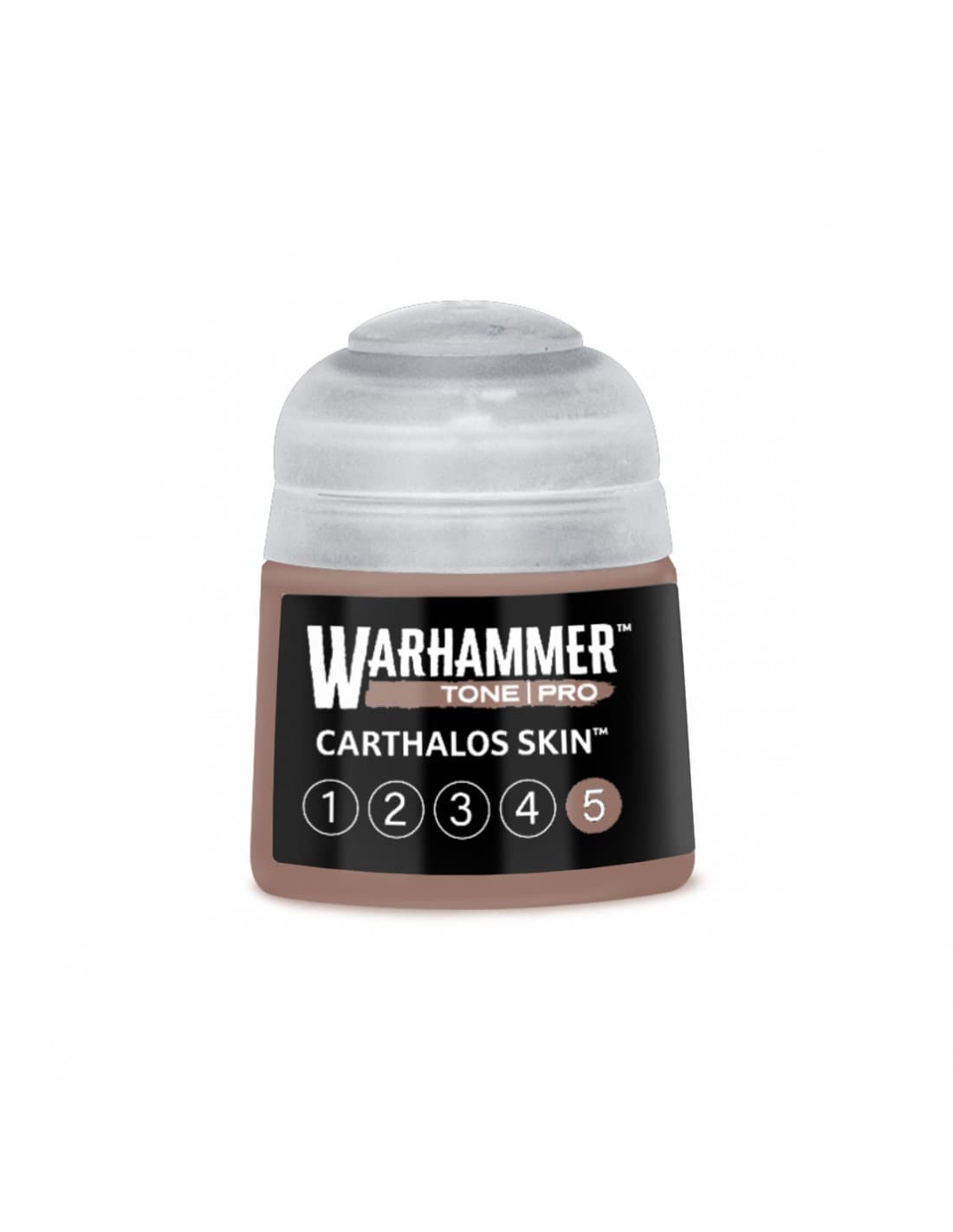 Carthalos Skin 5 - Tone Pro - Warhammer Paint - Games Workshop